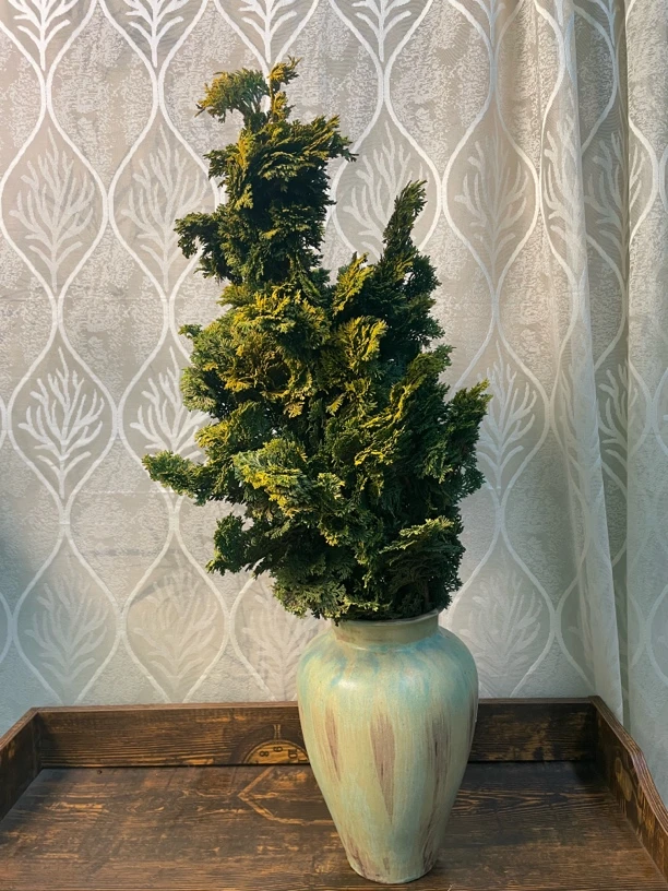 一物一拍 小众鲜花 云南昆明斗南发货