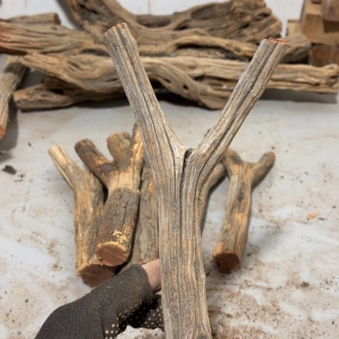 大果紫檀（缅甸花梨）文*