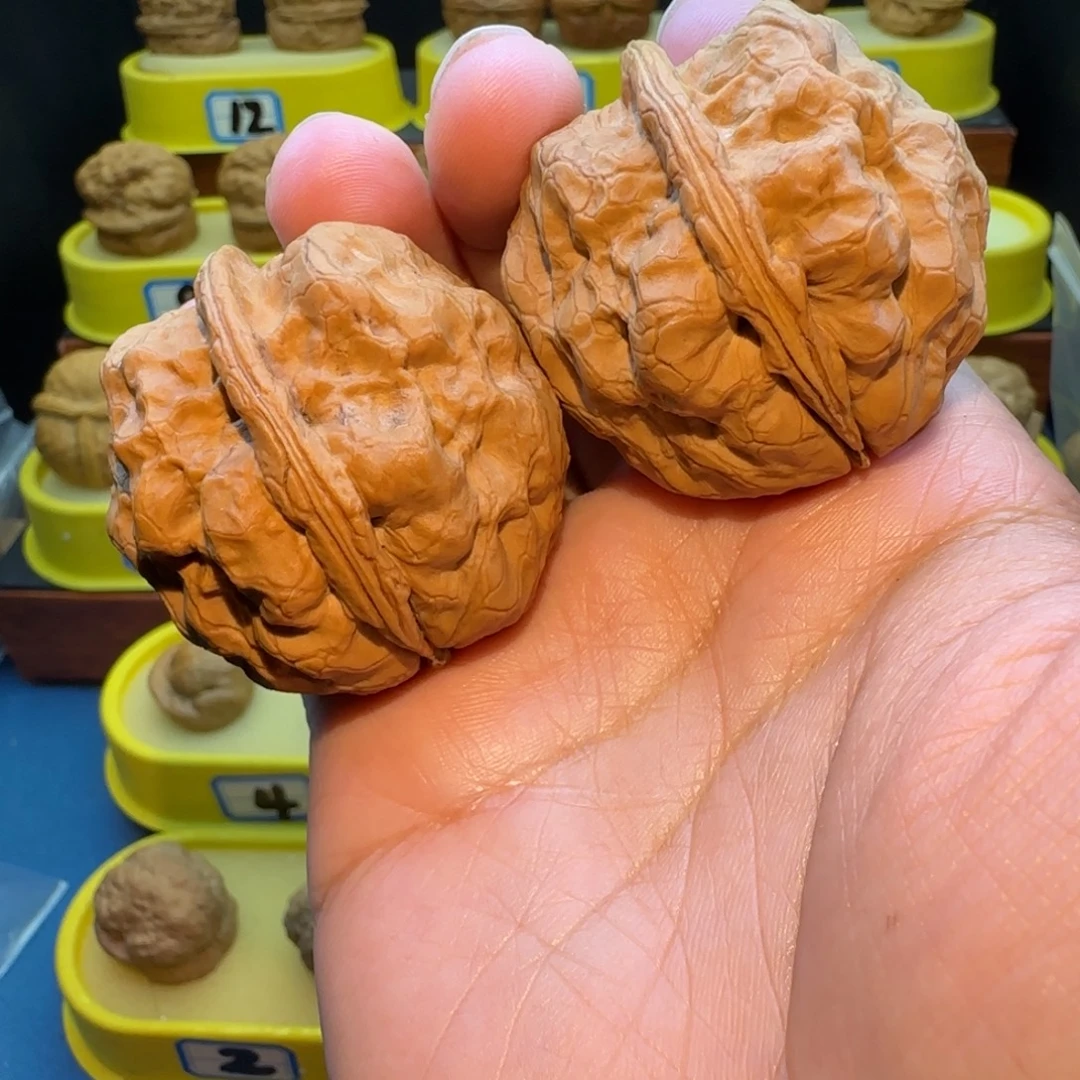 贰***萬桃核把件七龙珠核桃