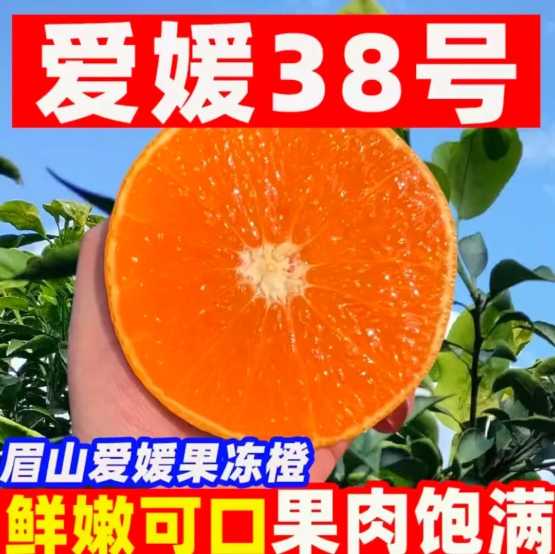 四川眉山爱媛38号果冻橙手剥橙应季头茬新鲜水果