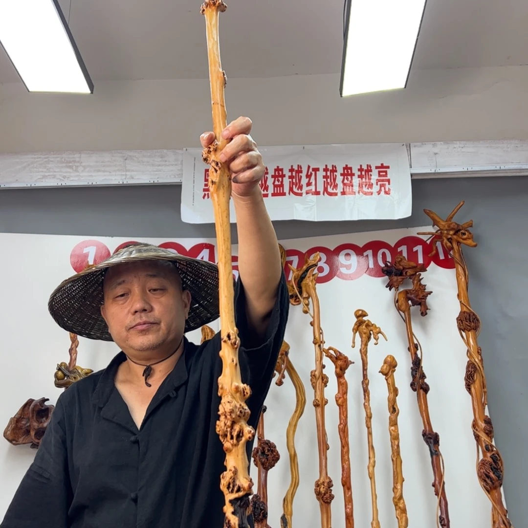 黑果木其他兴**来黑果木456