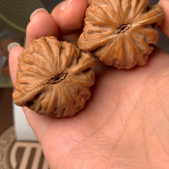 L***r铁锤5只的数量已经突破