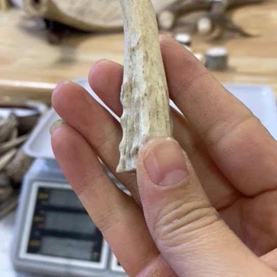 左***右银S925鹿鹿。