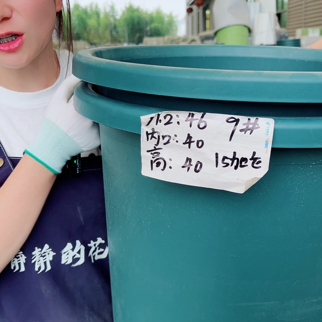 四季盆9#墨绿4个无托