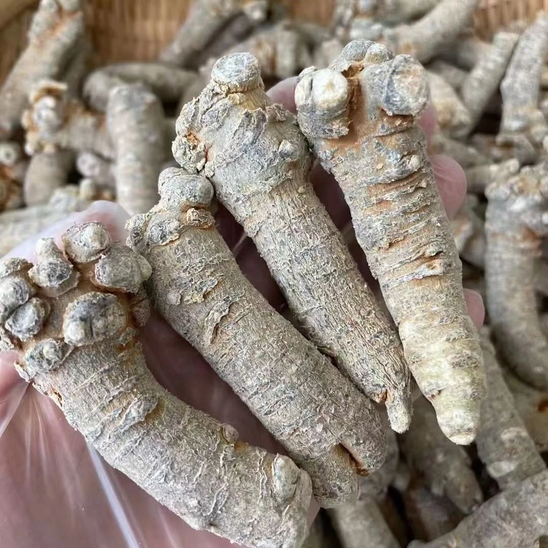 【云南土特产】云南高原山货三，七泡水农产品