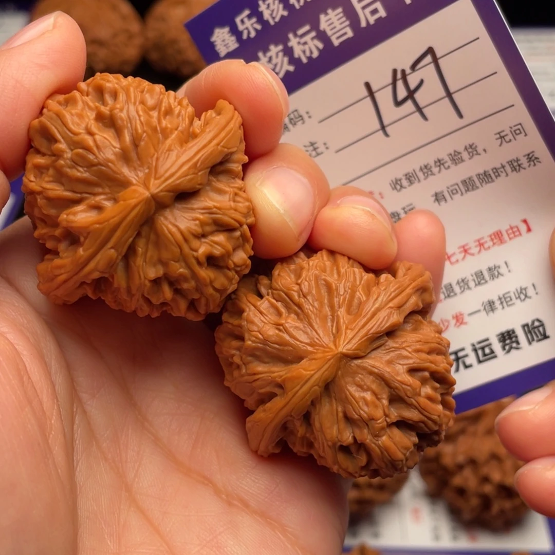 莀***鳞把件文玩核桃白狮子40尺