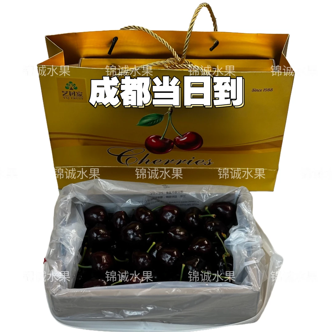 大连空运7J9J艺术家俄8车厘子原装礼盒2斤顺丰包邮