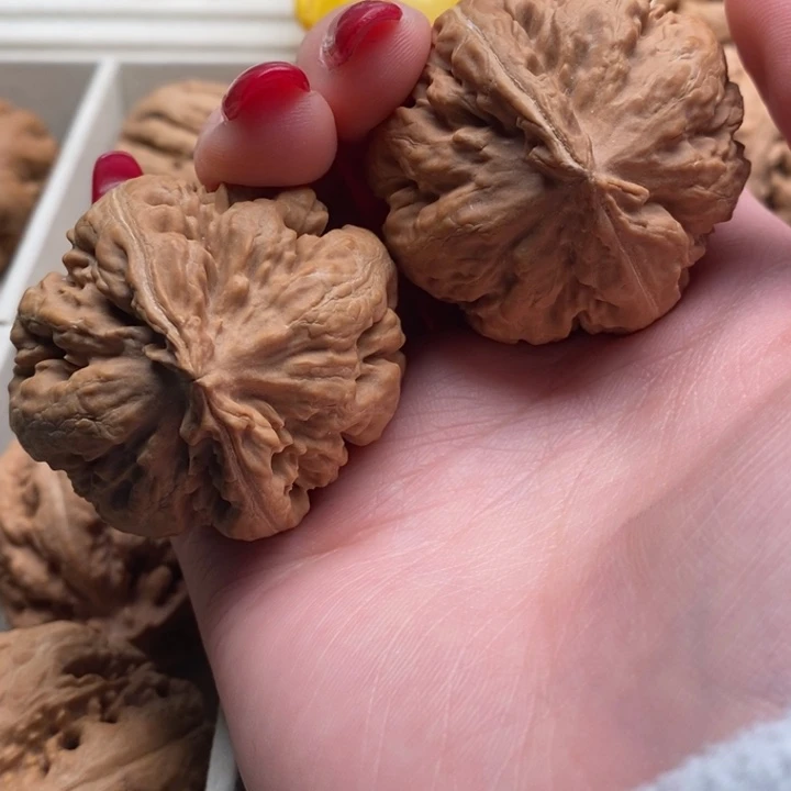 潇***把件文玩核桃霸王龙