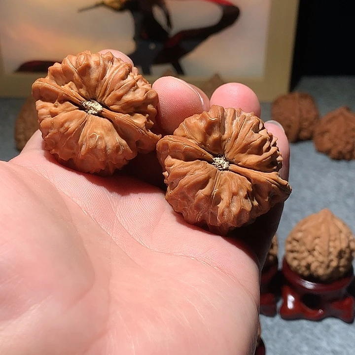 文玩核桃把件角蛙42