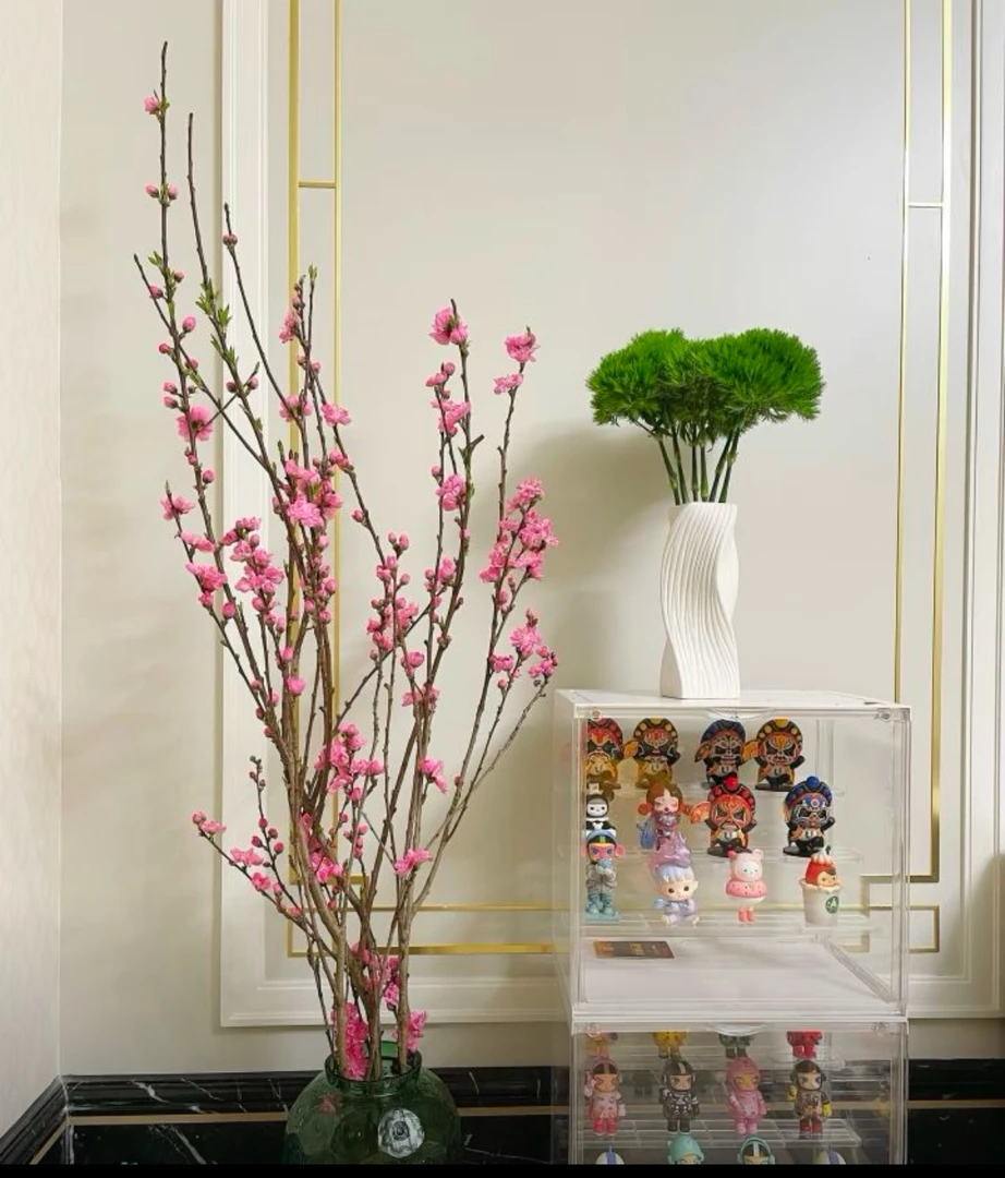 新鲜桃花枝水培室内绿植带花苞遇水开花