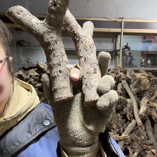 香榧木十**生火琉璃的毛料摆件