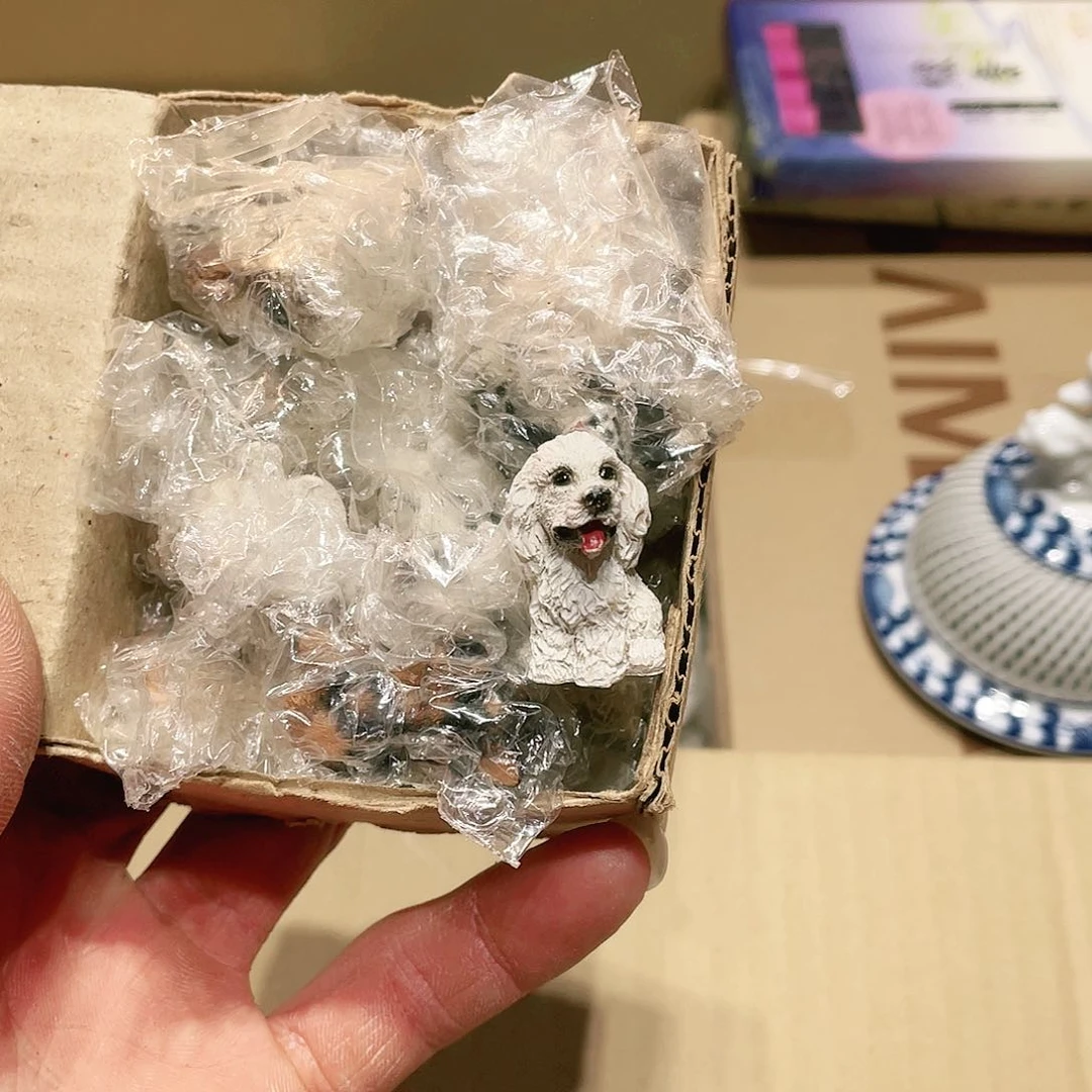 【闪购商品】谨慎选择适合自己