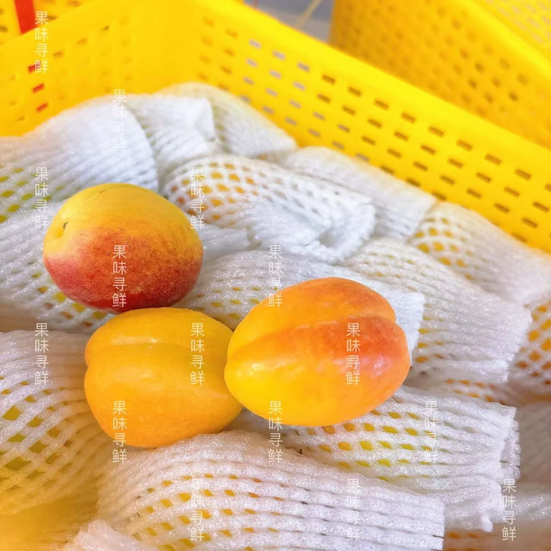 空运！ 新疆芒果杏，净重2.7斤， 44颗左右（摘网套，冷藏储存）