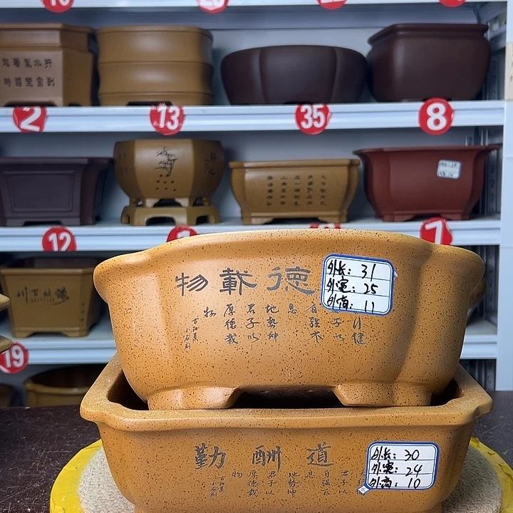 紫砂花盆蛇年大吉