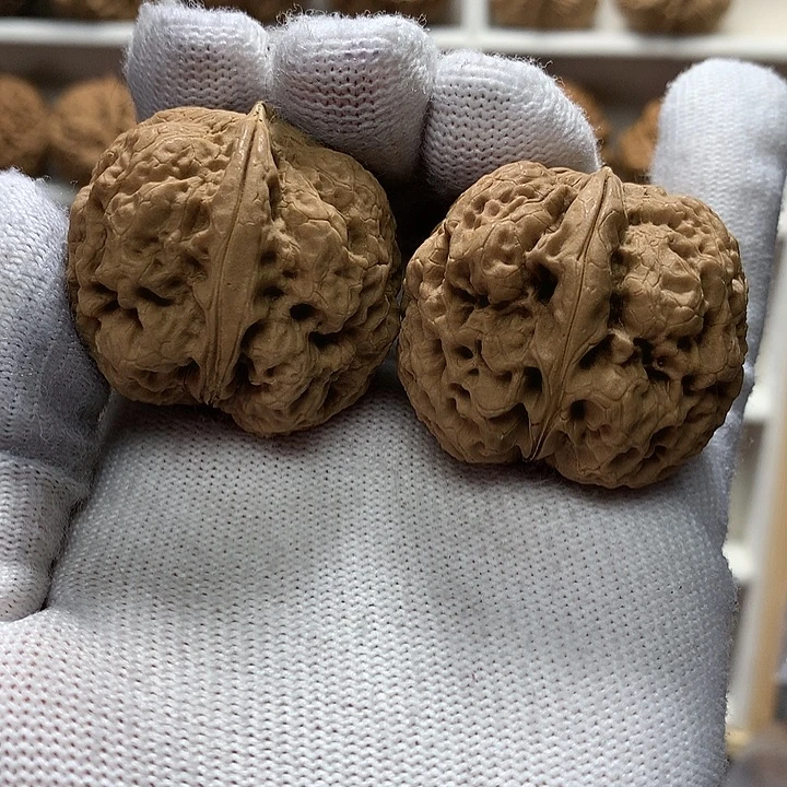 核桃37花中花两棱7号