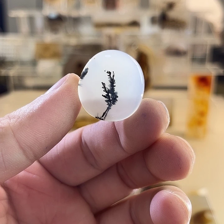 未镶嵌吊坠(不含链)玛瑙/玉髓