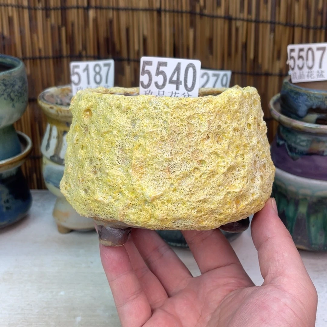 景德镇陶瓷玖品花盆