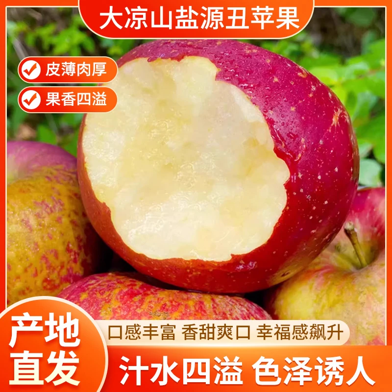 正宗冰糖心盐源丑苹果袋子冰糖心苹果糖心丑苹果小孩泼水乡村