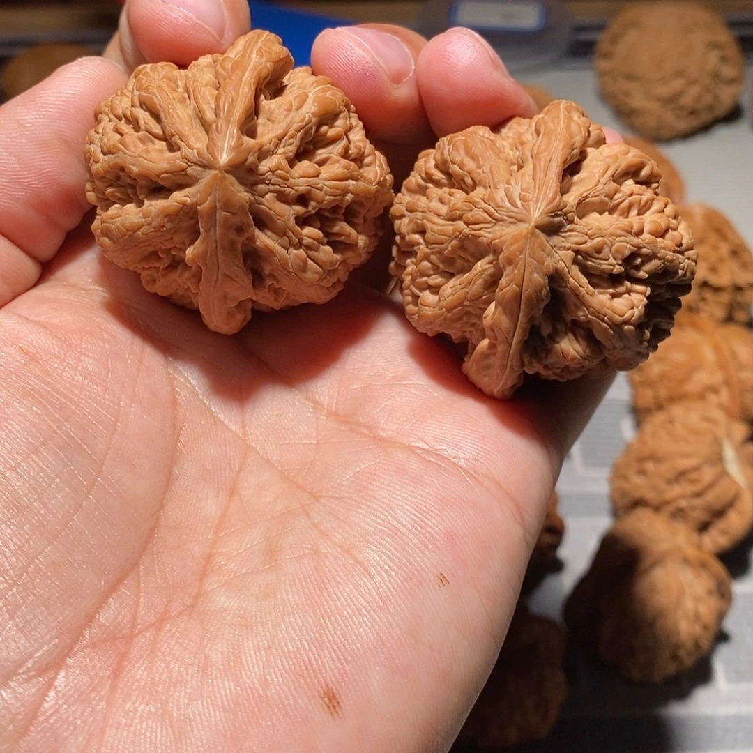 是***人文玩核桃把件090大粗筋43尺全品头货对