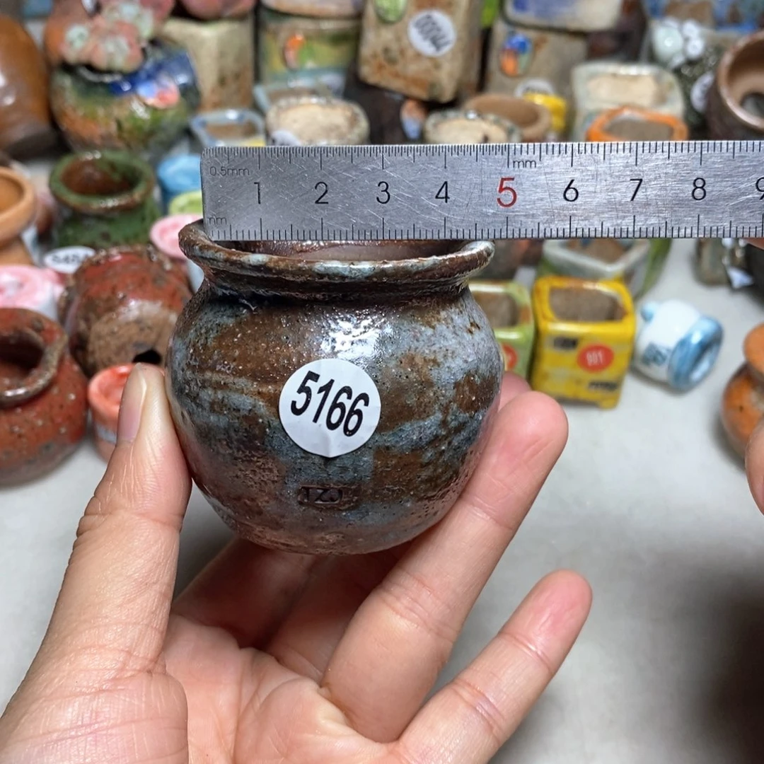 拍5送一个小礼物