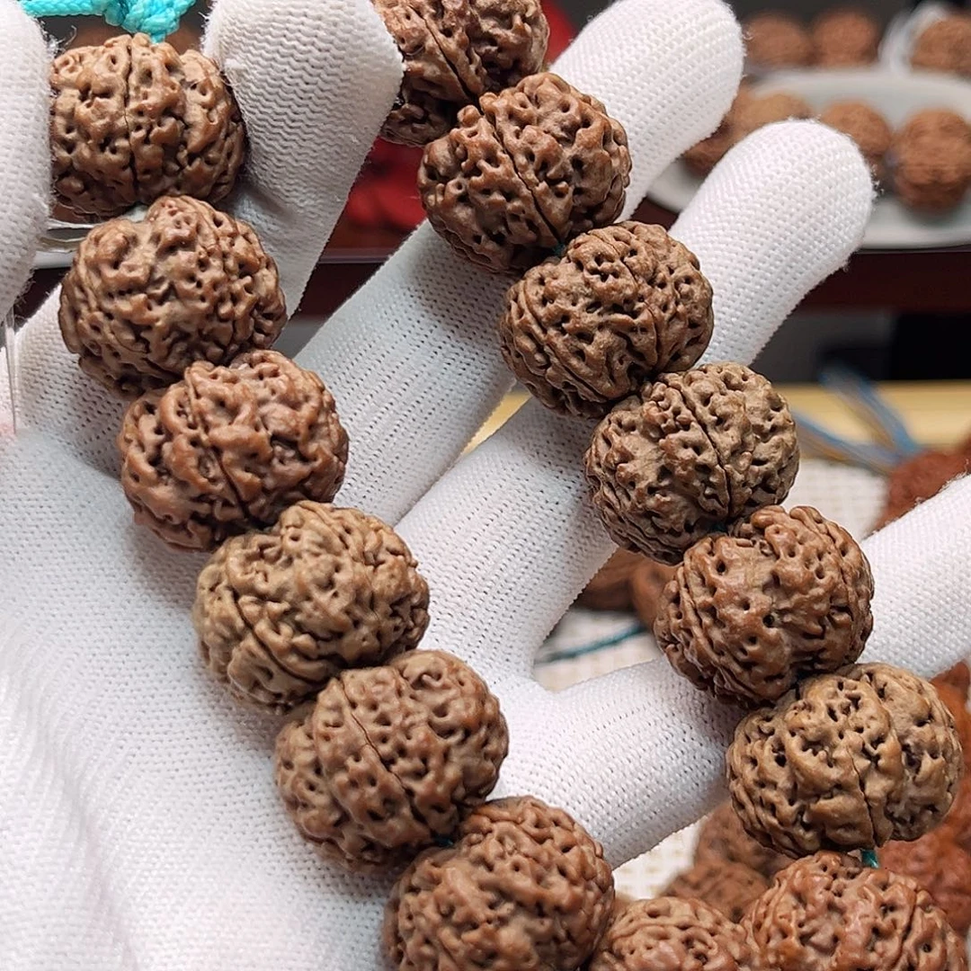 吊坠金刚菩提宽筋深沟龙鼎梅花严选优质 全品无黄无瑕疵 姜黄皮