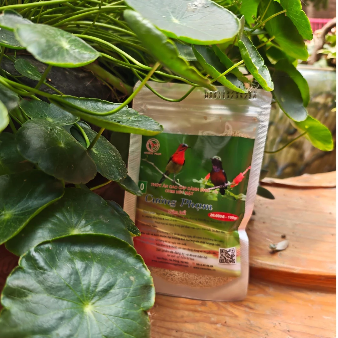 越南原包装进口绿CP太阳鸟饲料开口换毛长膘料100g装