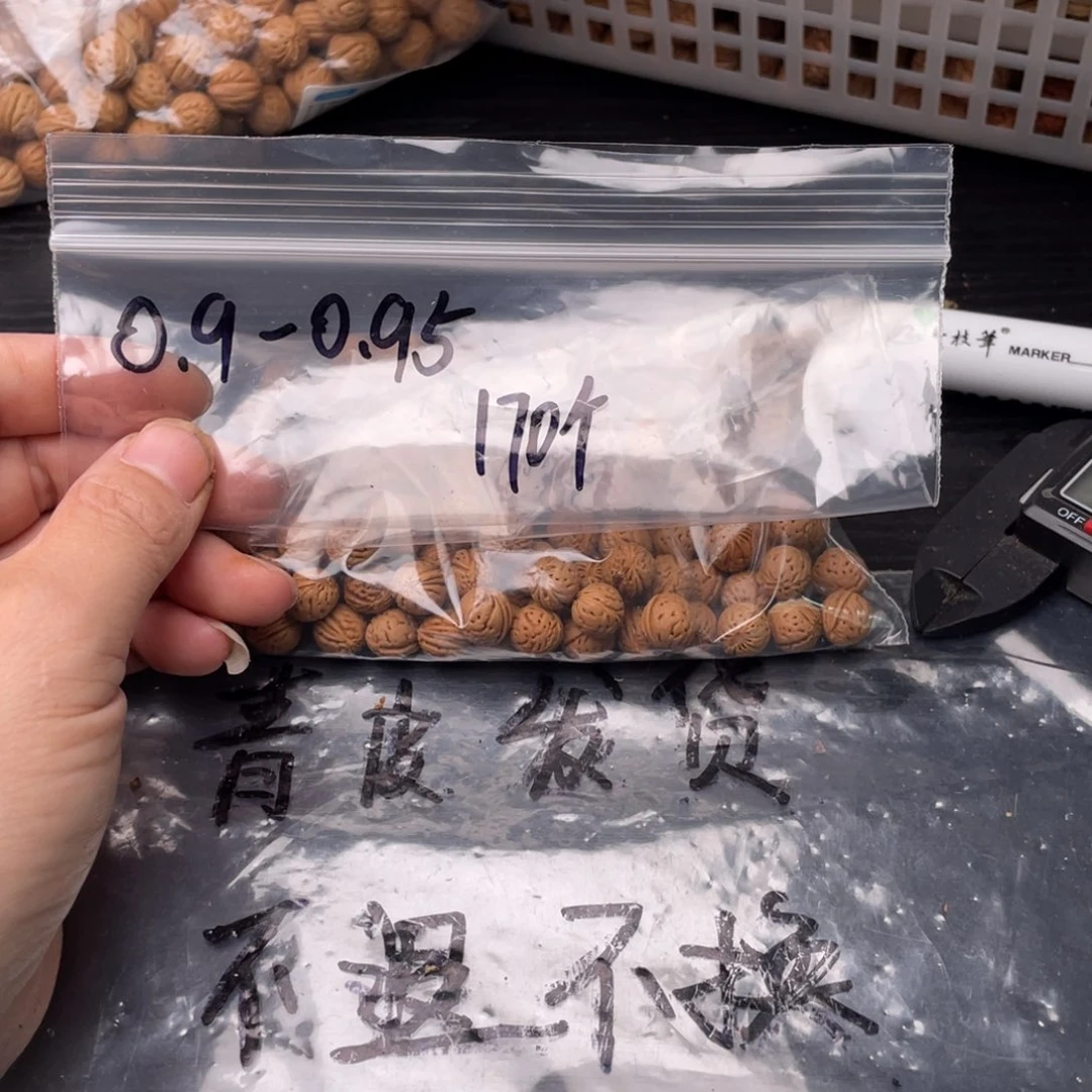【闪购商品】核桃其他私人定制800米不退不换