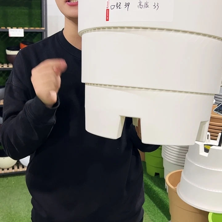 正品蓝莓盆口39高33白色3只无托