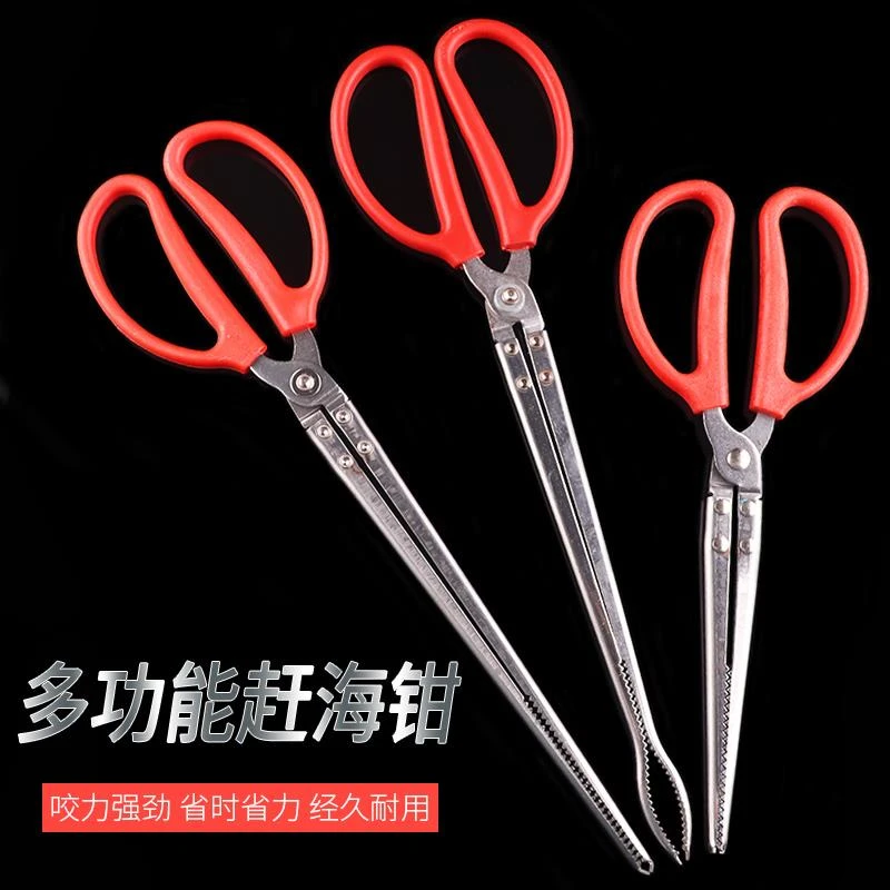 FAVMRTHA赶海工具儿童抓螃蟹钳子黄鳝夹不锈钢防滑夹海边黄善龙虾