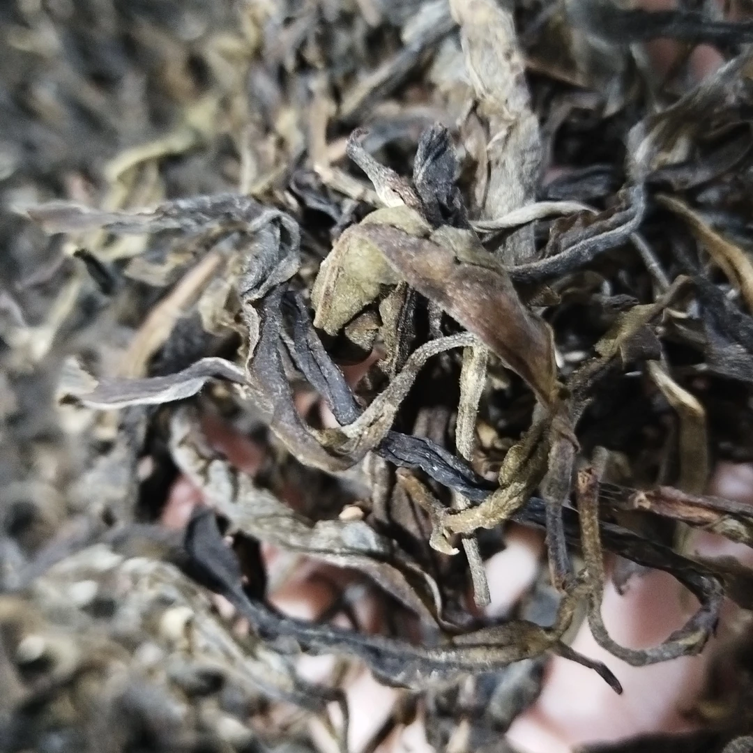 双江邦丙晒青茶散茶（2025春）