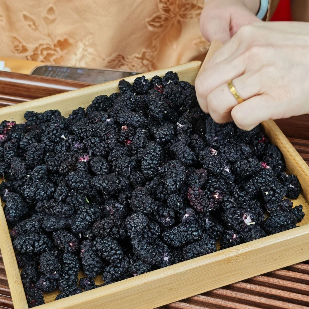 四川盐边冻干老树黑桑葚 酥脆可口 冬青收茶