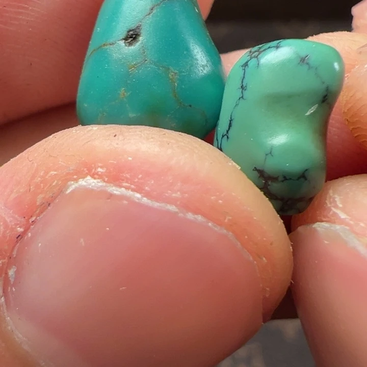 我们都会在这里等