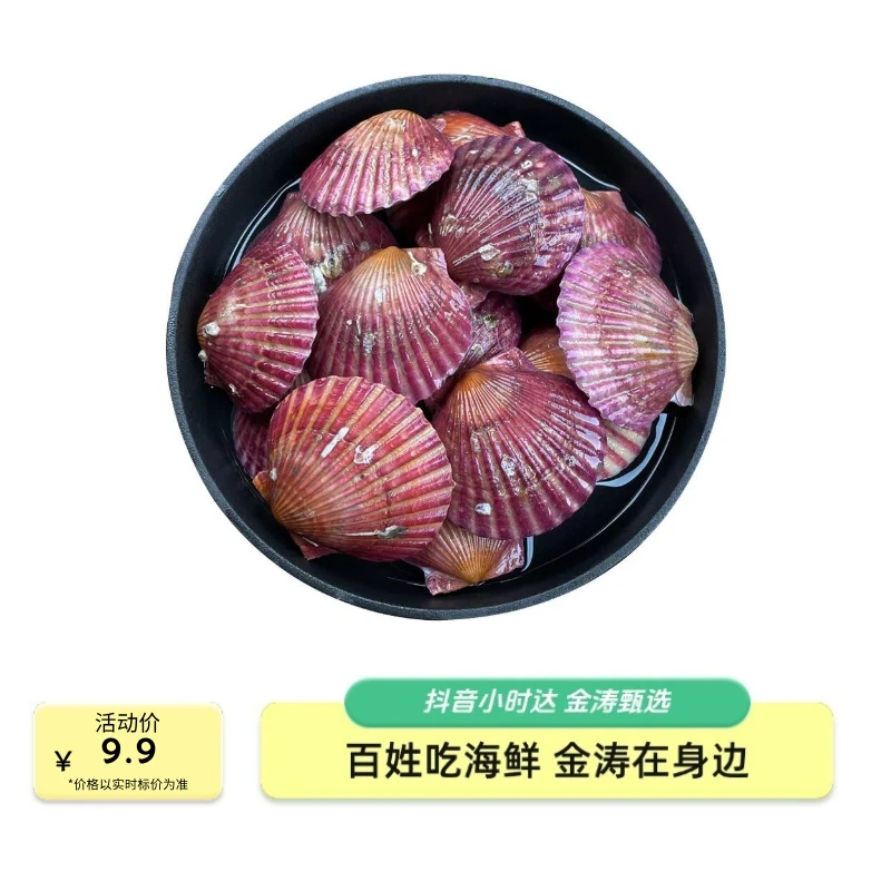 【福利产品】鲜活红扇贝 3斤9.9 鲜活跑腿发货 鲜活到家 每人限2单
