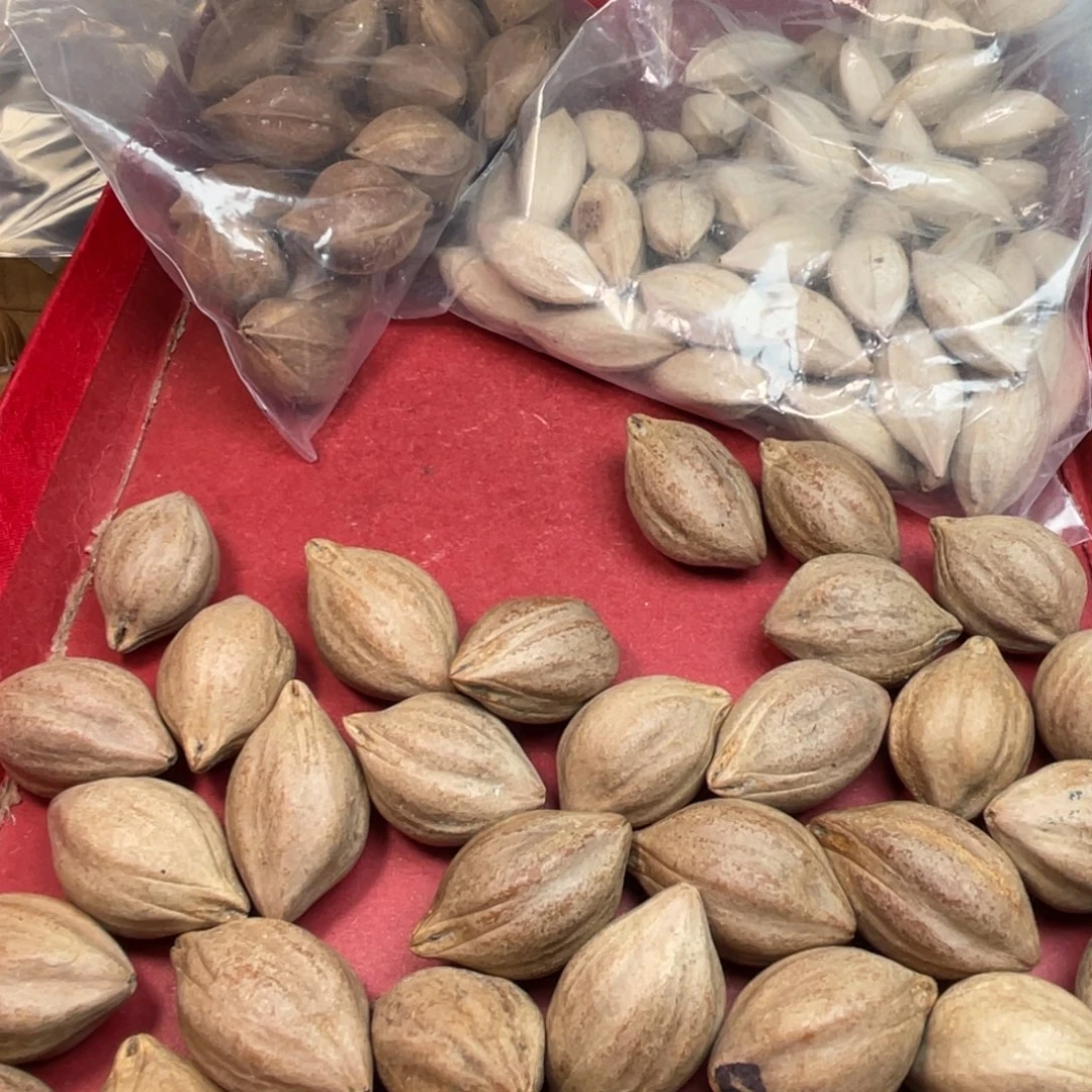 蓝***子橄榄核手串/手链1