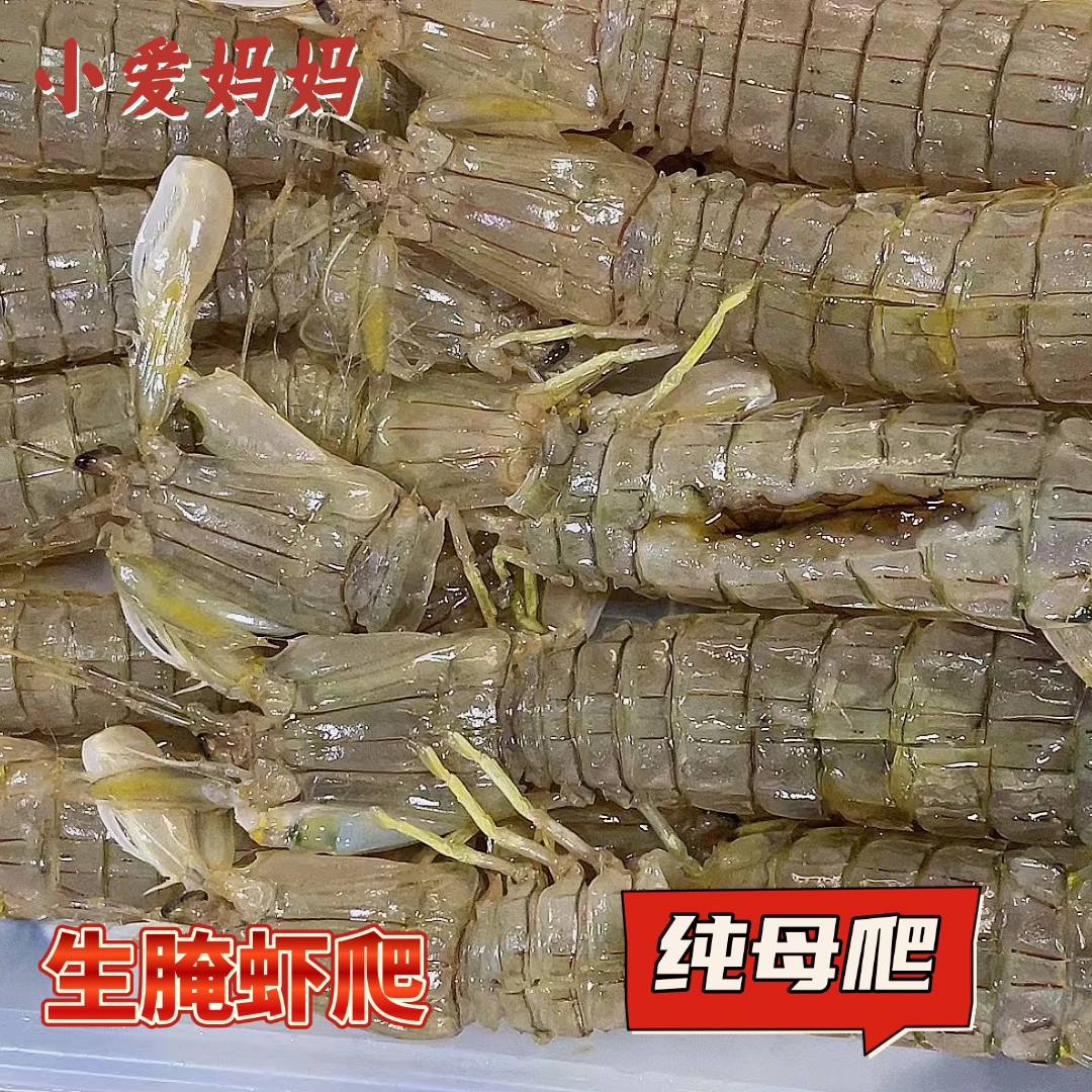 【小爱妈妈】生腌虾爬(纯母)生腌皮皮虾一桶1000g海鲜追剧必备