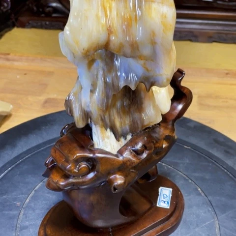 永***3硅化玉未镶嵌珠宝奇石