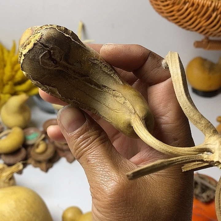 梅***坊小葫芦手把件葫芦