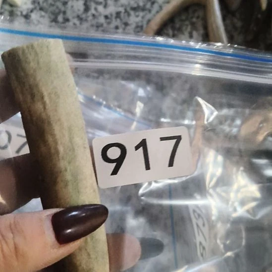 闲***事鹿角鹿角鹿角鹿角鹿角鹿角