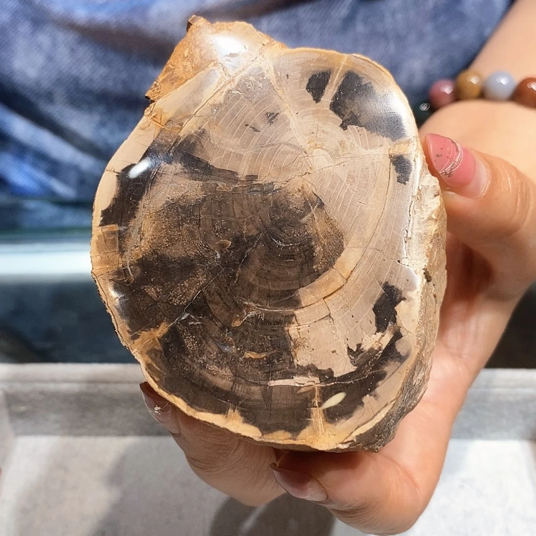 硅化玉天然北票硅化玉原石未镶嵌