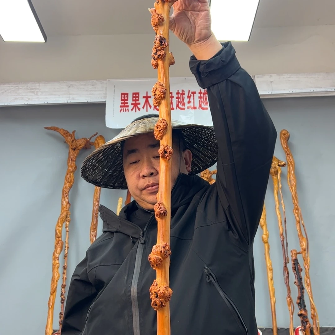 黑果木其他用****8黑果木868