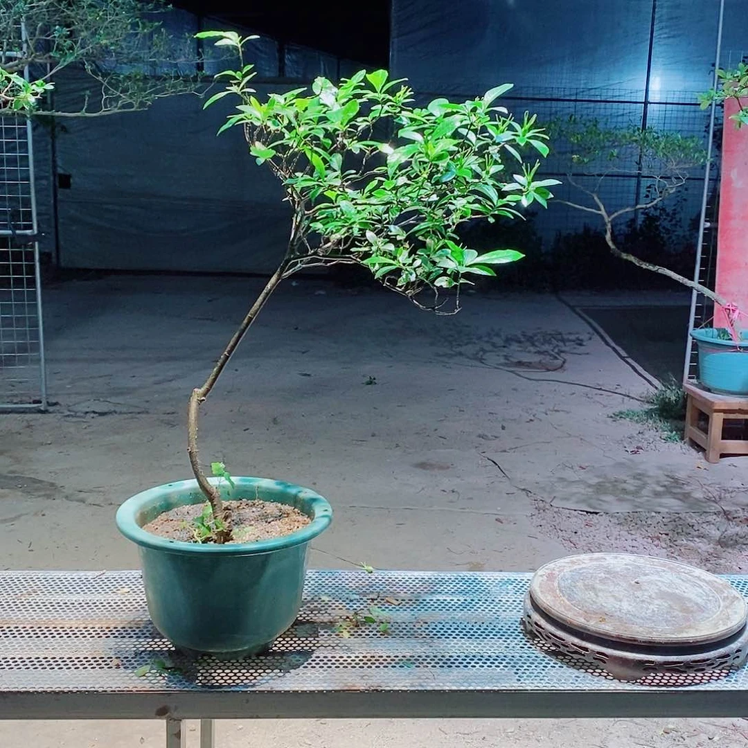 感谢您的支持与配合