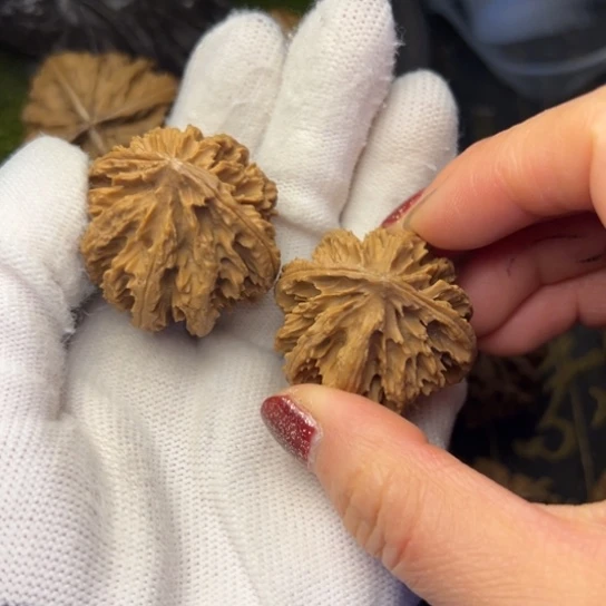 文玩核桃吊坠秦岭核桃10