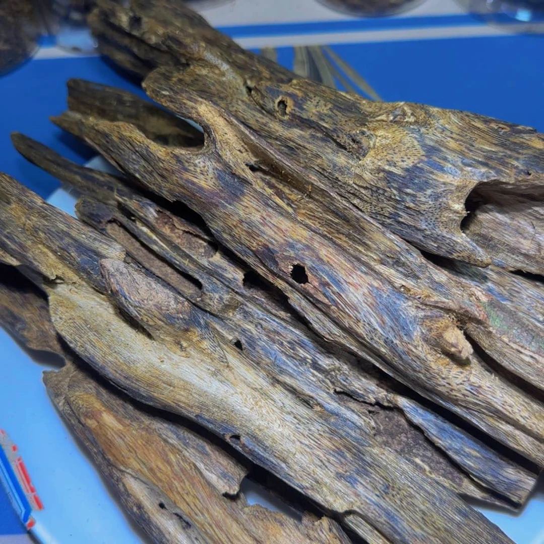 沉香摆件无**学沉香奇楠千里香老料589克