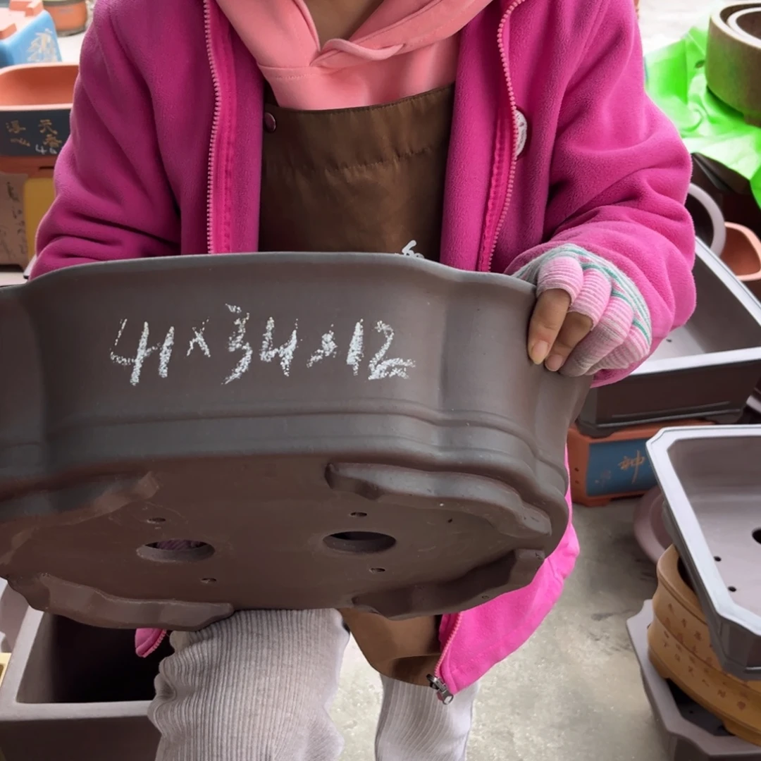 花盆紫砂盆景艺术