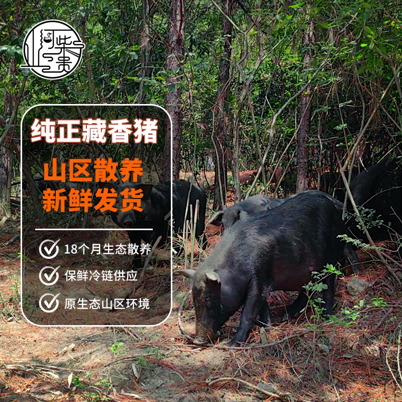 【山河柴贵】藏香猪肉/五花肉带排骨/精选鲜嫩美味丛林自然养殖包邮
