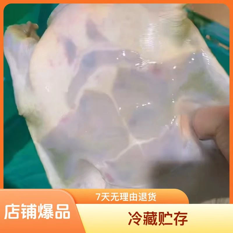 溪流野甲鲜活老甲鱼肉质鲜美顺丰包邮