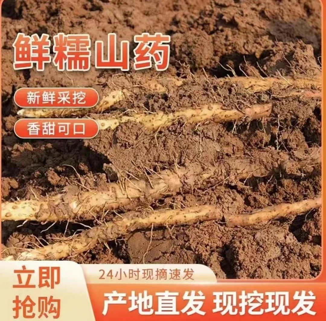 新鲜采挖铁棍山药又软又糯老人宝宝做辅食零食短果福利
