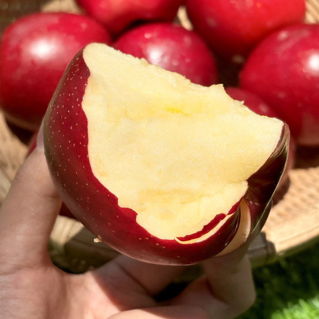 新西兰taylor苹果Queen果味浓郁脆甜可口有花香气颜值高皮有点厚