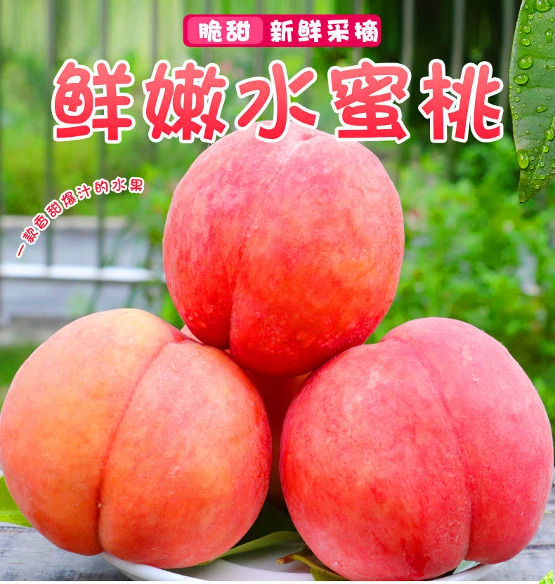 【坏果包赔】新鲜水果水蜜桃五月红桃脆甜香甜爆汁皮薄鲜嫩清甜