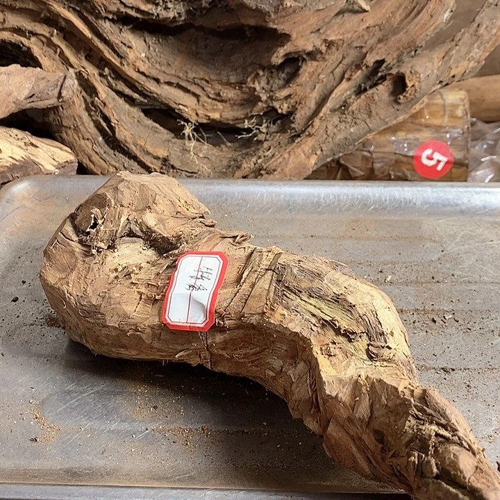 黄花梨/降香黄檀冬*